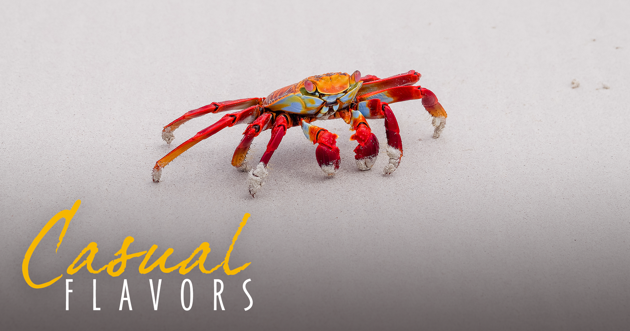 Savor Fun at the SunWest Crab & Shrimp Festival