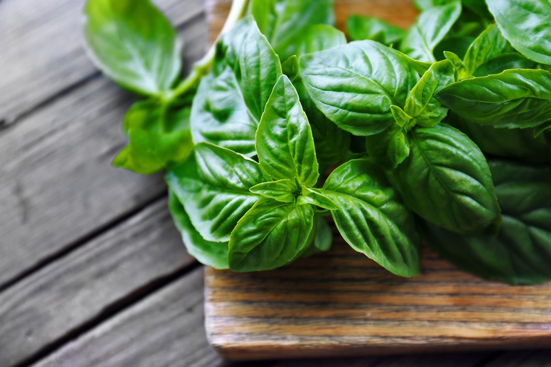 Why We Love Fresh Herbs