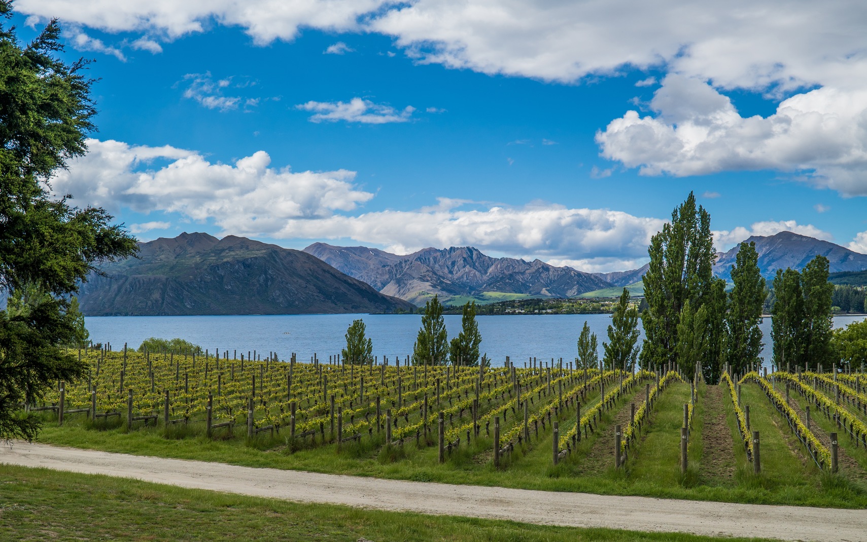 Whitehaven Wine Exploring a Down Under Destination